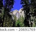 Yosemite National Park Yosemite Falls 20691769
