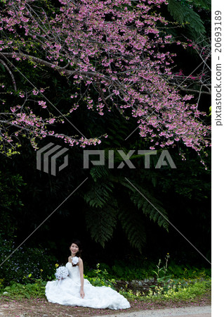 新娘鏡頭 20693189