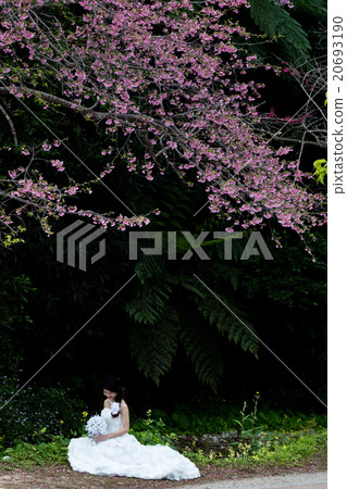 新娘鏡頭 20693190