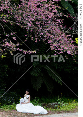 Bridal shot 20693191