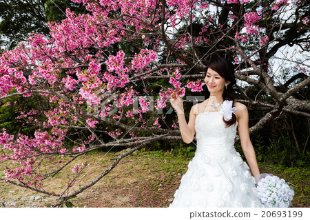 Bridal shot 20693199