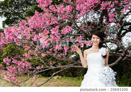 Bridal shot Bridal shot 20693200