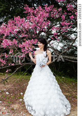 新娘鏡頭 20693213