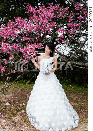 新娘鏡頭 20693214