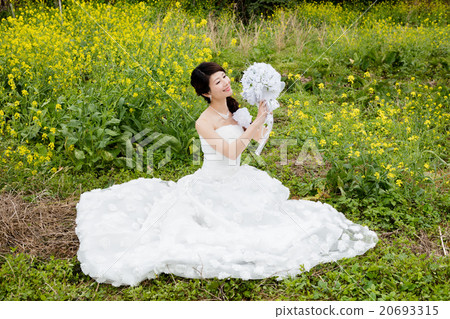 新娘 20693315