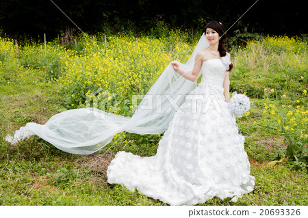 新娘 20693326