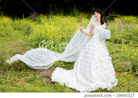 新娘 20693327