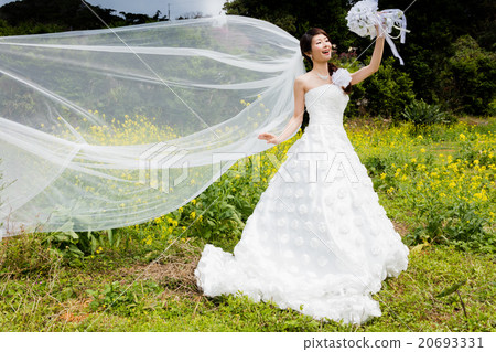 新娘 20693331