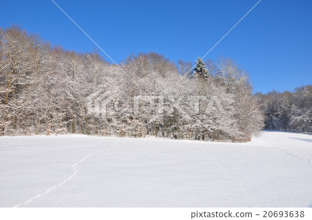 Winter landscape in Bavaria 20693638