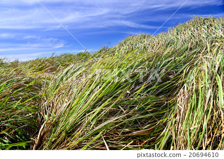 Meadow hill on top of beautiful mountain Meadow hill on top of beautiful mountain 20694610