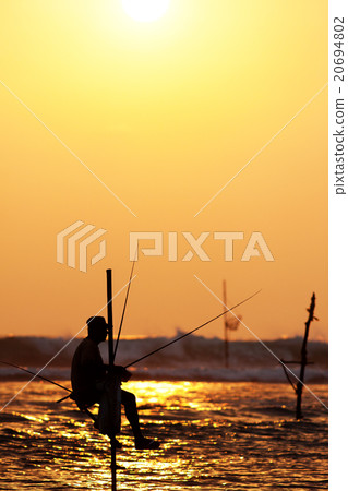 traditional stilt fishermen at sunset, Sri Lanka 20694802