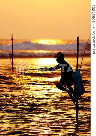 traditional stilt fishermen at sunset, Sri Lanka 20694803
