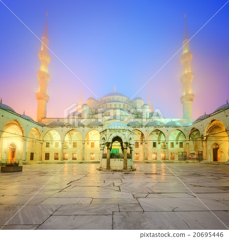 The Suleymaniye Mosque in Istanbul, Turkey 20695446