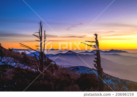 Silhouette of dead trees, beautiful Landscape. Silhouette of dead trees, beautiful Landscape. 20696159