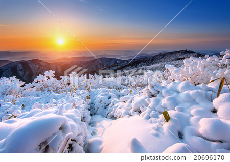 Sunrise on Deogyusan mountains in winter,Korea. 20696170