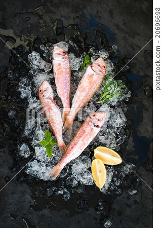 Raw Red Mullet fish with lemon, mint and rosemary Raw Red Mullet fish with lemon, mint and rosemary 20696698