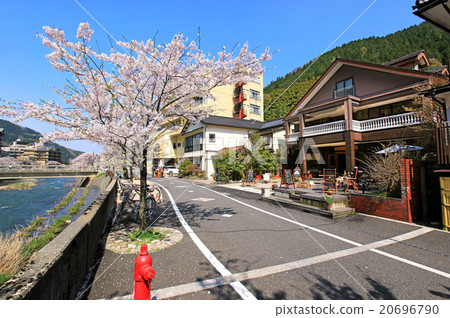 Akami溫泉鎮和櫻花 Akami溫泉鎮和櫻花 20696790