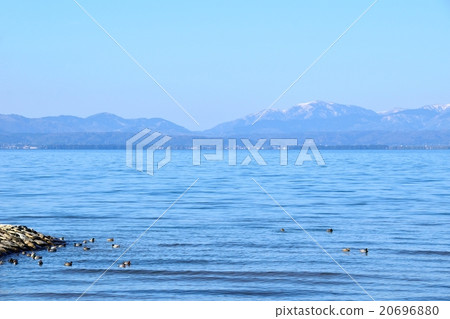 水鳥越過琵琶湖和湖北的雪山 20696880