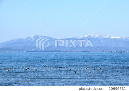 水鳥越過琵琶湖和湖北的雪山 20696881