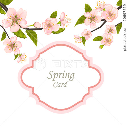Spring Elegant Card with Blossoming Tree Branches Spring Elegant Card with Blossoming Tree Branches 20697839