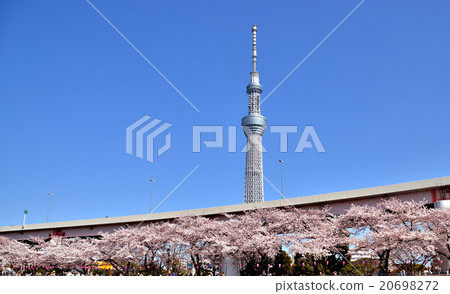 Sumidagawa Landscape Sumidagawa Landscape 20698272