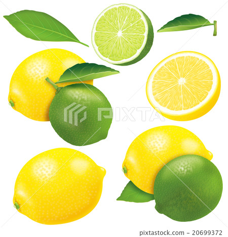 Lime & Lemon 20699372