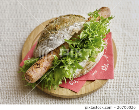 Wormwood Ryusteik Wormwood Ryusteik 20700026