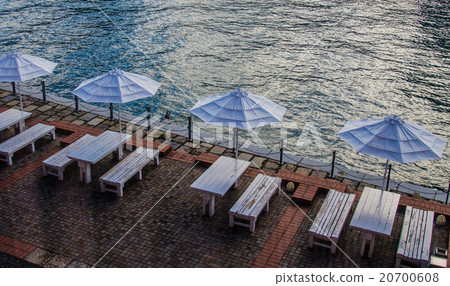 Mojikado umbrella Mojikado umbrella 20700608
