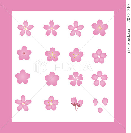 櫻花雪吉野水彩春天的花朵 櫻花雪吉野水彩春天的花朵 20701710