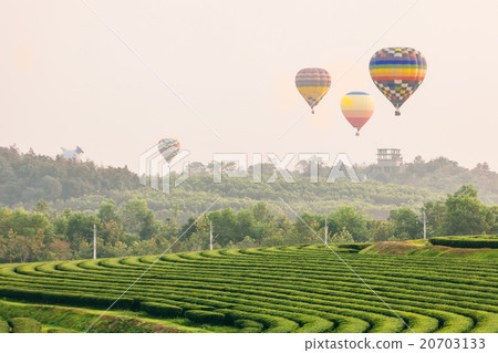Hot air balloon over the mountains and tea 20703133