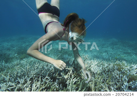一個女人在海裡 20704214