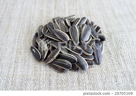 Sunflower seeds on canvas. 20705109