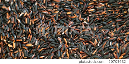 Black coarse rice or half polished rice background Black coarse rice or half polished rice background 20705682