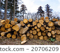 Thinned wood 20706209