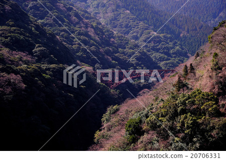 Scenery of Minamiaso village Teno gorge 20706331