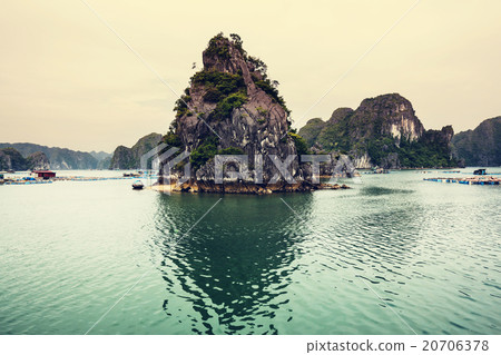 Halong 20706378