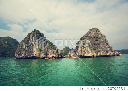 Halong 20706384