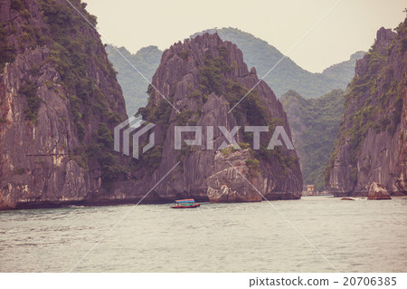 Halong 20706385