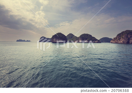 Halong 20706388