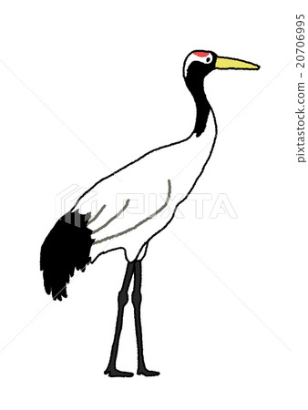 Cranberry dumpling crane crane Turtle Hokkaido Cranberry dumpling crane crane Turtle Hokkaido 20706995