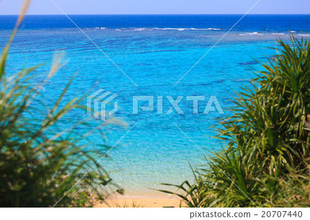 Ichiban beach 20707440