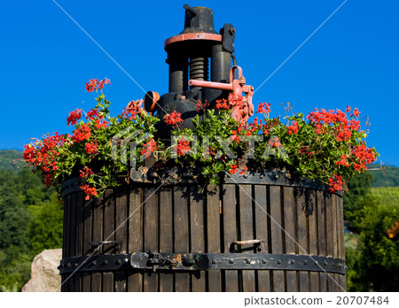 wine-press, Orschwihr, Alsace, France wine-press, Orschwihr, Alsace, France 20707484