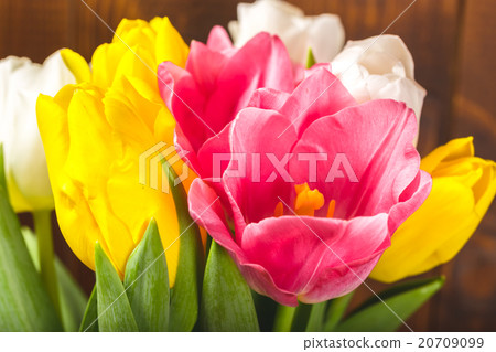 Bouquet Of Tulips In Front Of Spring Scene  Bouquet Of Tulips In Front Of Spring Scene  20709099