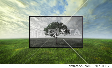 colorful wild background contrast of dim gray colorful wild background contrast of dim gray 20710097