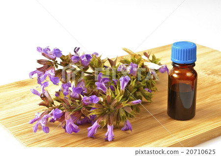bunch of sage with herbal tincture 20710625