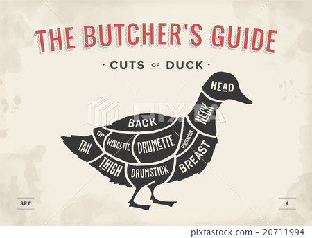 Poster Butcher diagram and scheme - Duck 20711994