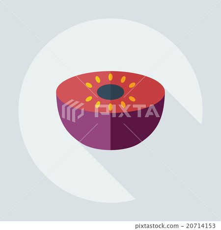 Flat modern design with shadow icons melon 20714153