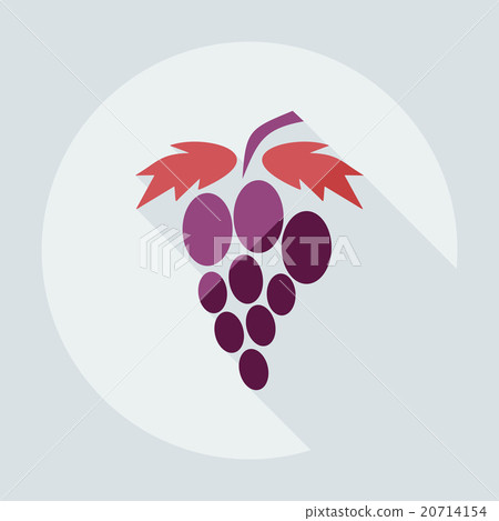 Flat modern design with shadow icons grapes Flat modern design with shadow icons grapes 20714154