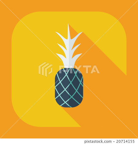 Flat modern design with shadow icons pineapple 20714155