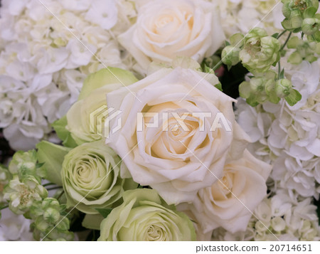 flower arrangement  20714651